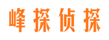 礼县市侦探公司